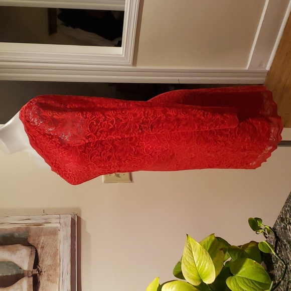 Express Dress - Picture 5 of 12